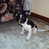 Camy98